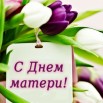 fe761ec14f4584af47ca2be100555412.jpg